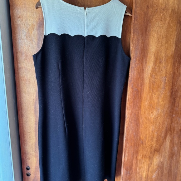 Anne Taylor Loft Dress Scalloped Hem 14 - Picture 4 of 4